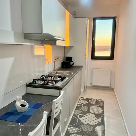 C&y Solid ママイア