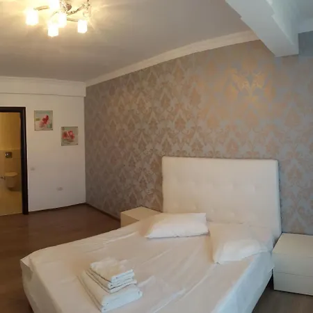 C&y Solid ママイア