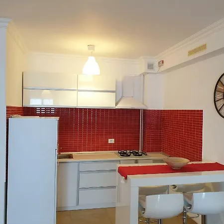 C&y Solid * ママイア