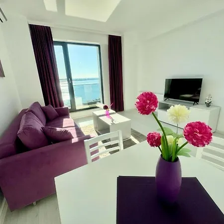 Apartment C&y Solid