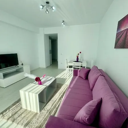 Apartment C&y Solid