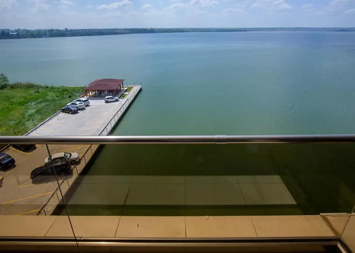 Apartment C&y Solid *