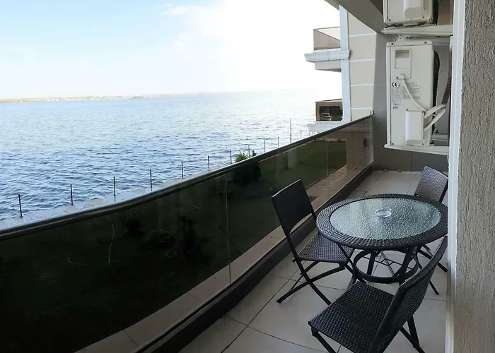 Apartment C&y Solid *